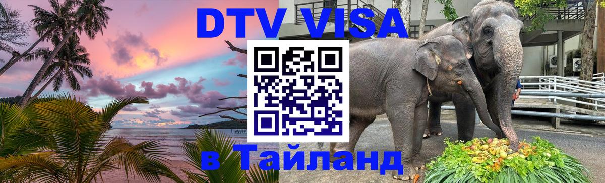 Оформление DTV визы под ключ: стоимость и тарифы, только загранпаспорт - 